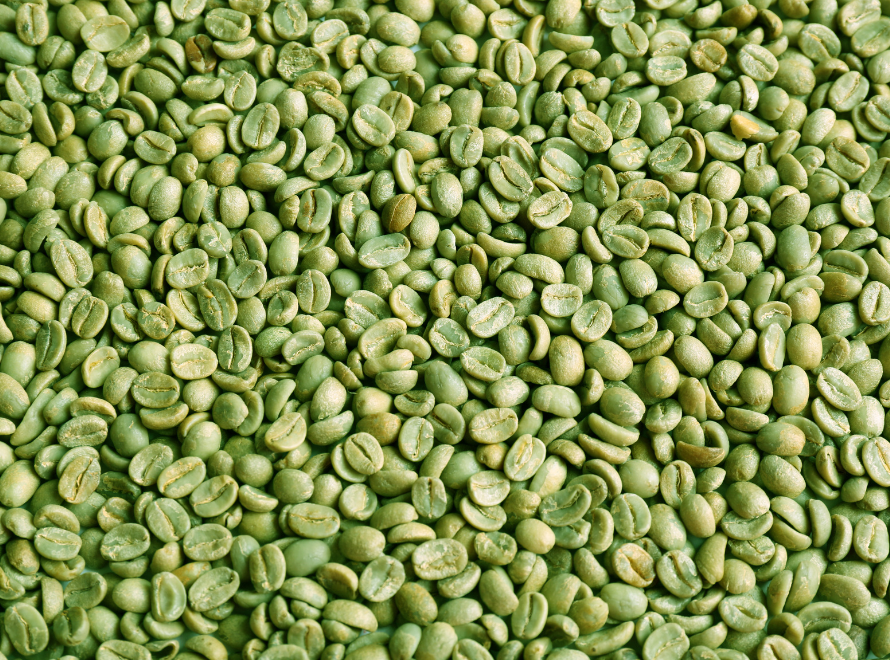 Arabica Green Coffee Beans - India Origin